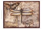 Poetic Dragonfly II Sale