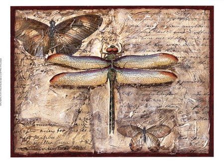 Poetic Dragonfly II Sale