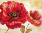 Passion for Poppies I Discount