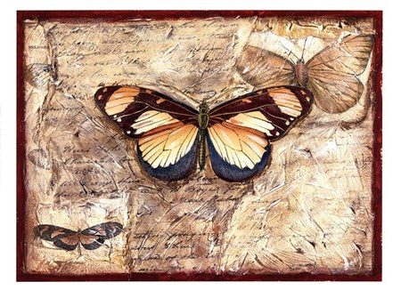 Poetic Butterfly I Hot on Sale