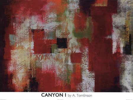 Canyon I For Discount