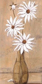 White Daisies For Sale