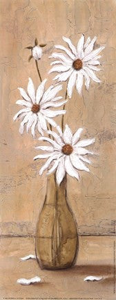 White Daisies For Sale