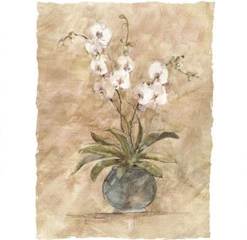 White Orchids I Hot on Sale