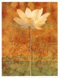 Abstract Lotus I Sale