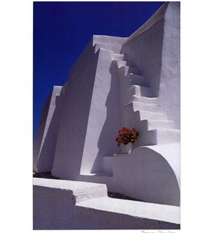 White Steps with Geraniums For Discount