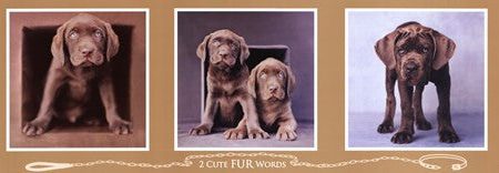 2 Cute Fur Words on Sale