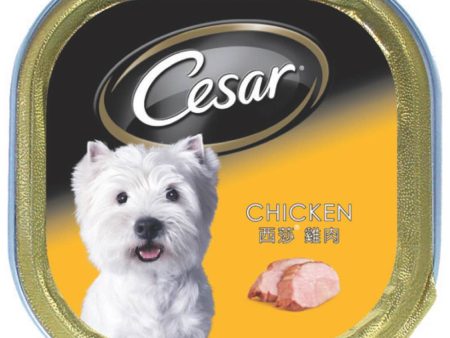 Cesar Chicken Pate Tray Dog Food 100g For Cheap