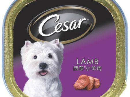 Cesar Lamb Pate Tray Dog Food 100g Online Hot Sale