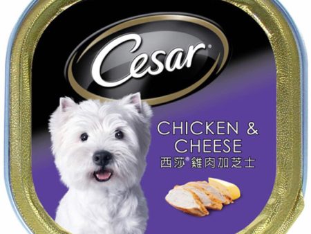 Cesar Chicken & Cheese Pate Tray Dog Food 100g Online Sale