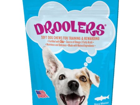 Droolers Whitefish Recipe Grain-Free Soft Dog Treats 113g Online now